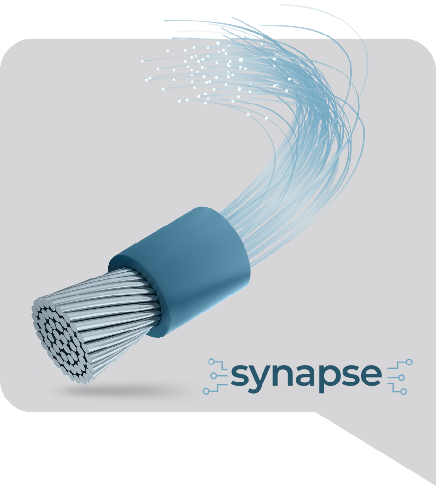 Synapse product illustration